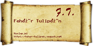 Fehér Tulipán névjegykártya